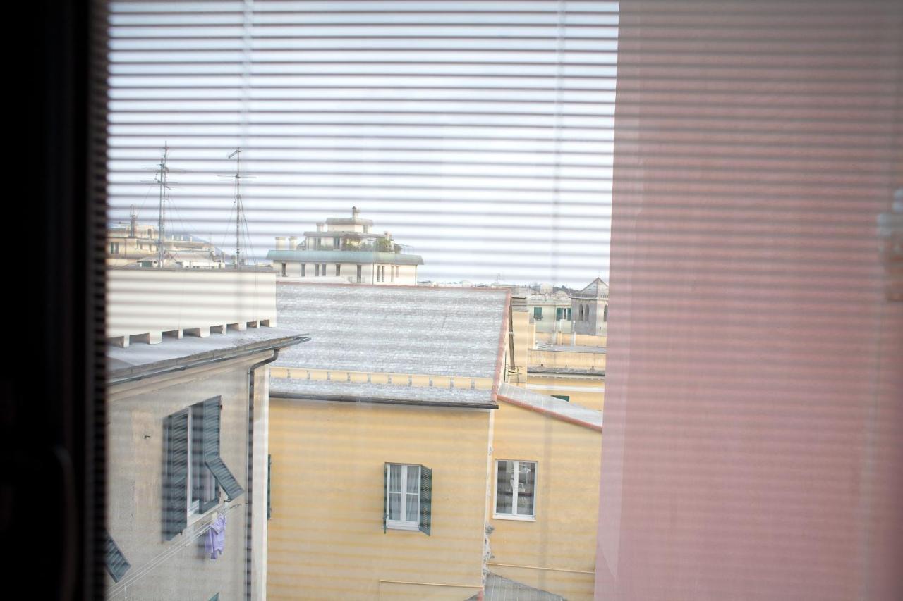 Piume Verdi
